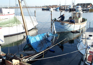Find rundt i junglen af bådforsikringer